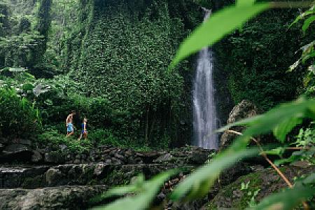 Saint Vincent and the Grenadines – ülke fotoğrafı