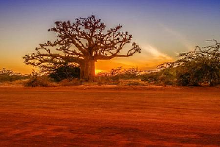 Senegal – ülke fotoğrafı