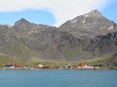 South Georgia and South Sandwich Islands – ülke fotoğrafı