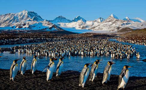South Georgia and South Sandwich Islands – ülke fotoğrafı
