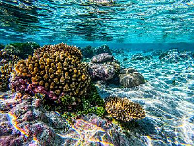 Niue – ülke fotoğrafı