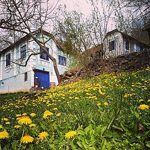 Aleksandrovac – Sırbistan fotoğrafı