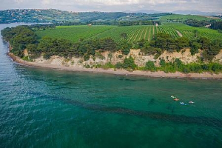 Ankaran – Slovenya fotoğrafı