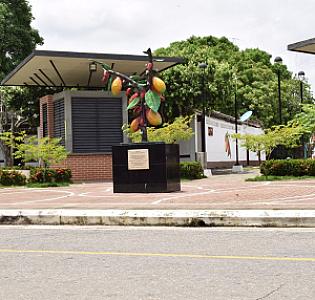 Arauca – Colombia fotoğrafı