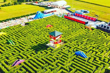 Batočina – Sırbistan fotoğrafı