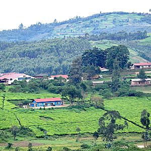 Bururi – Burundi fotoğrafı