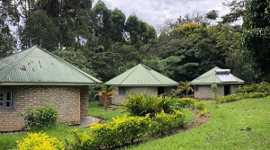 Bushenyi – Uganda fotoğrafı