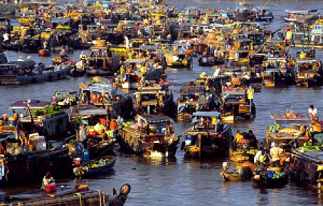 Cà Mau – Vietnam fotoğrafı