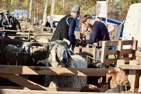 Cimişlia – Moldova fotoğrafı