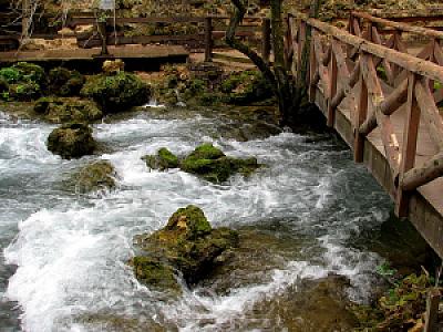 Despotovac – Sırbistan fotoğrafı