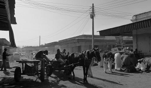 Gedaref – Sudan fotoğrafı