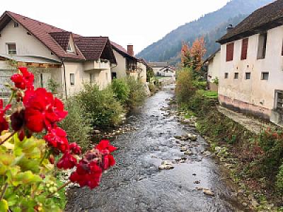 Gornji Grad – Slovenya fotoğrafı