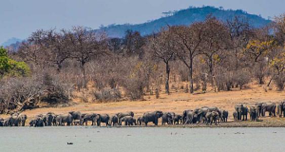 Kasungu – Malawi fotoğrafı