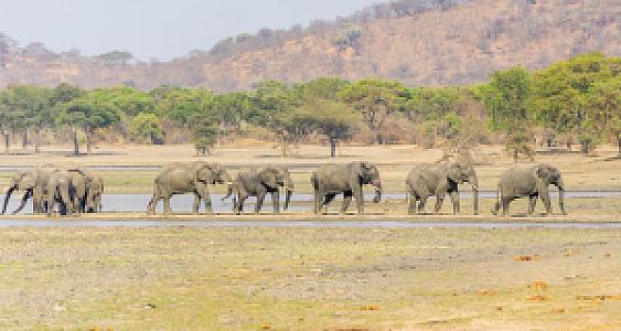 Kasungu – Malawi fotoğrafı