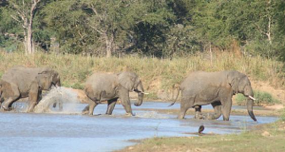 Kasungu – Malawi fotoğrafı