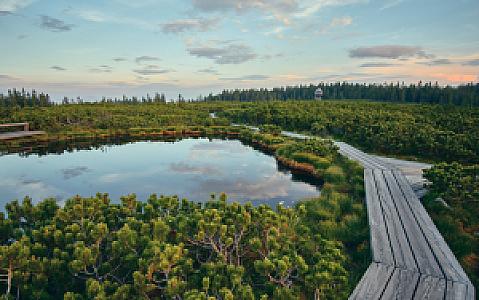 Lovrenc na Pohorju – Slovenya fotoğrafı