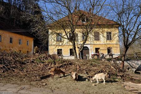 Mengeš – Slovenya fotoğrafı