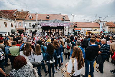 Metlika – Slovenya fotoğrafı