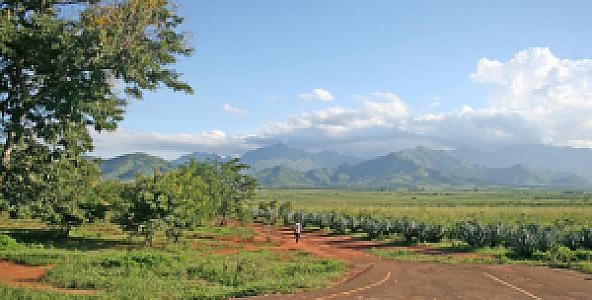 Morogoro – Tanzanya fotoğrafı