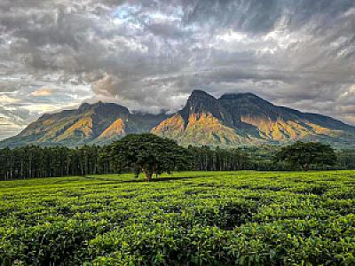 Mulanje – Malawi fotoğrafı