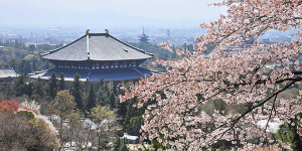 Nara – Japonya fotoğrafı