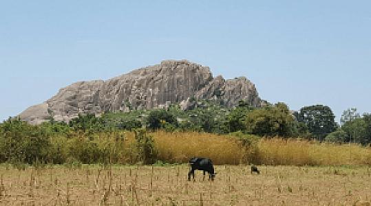 Ngora – Uganda fotoğrafı