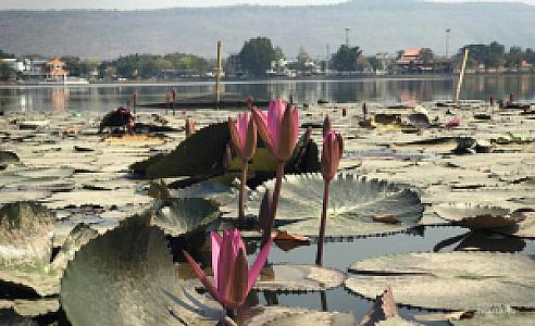 Nong Bua Lamphu – Tayland fotoğrafı