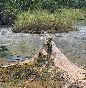 Ntoroko – Uganda fotoğrafı