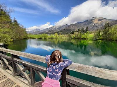 Preddvor – Slovenya fotoğrafı