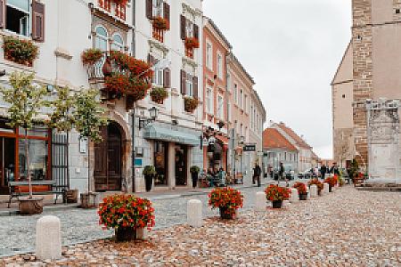 Ptuj – Slovenya fotoğrafı