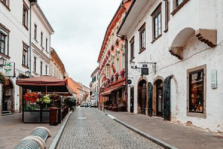 Ptuj – Slovenya fotoğrafı