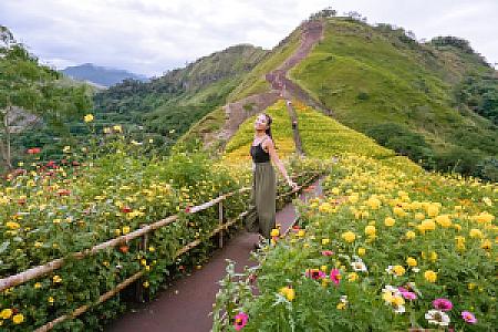 Quirino – Filipinler fotoğrafı