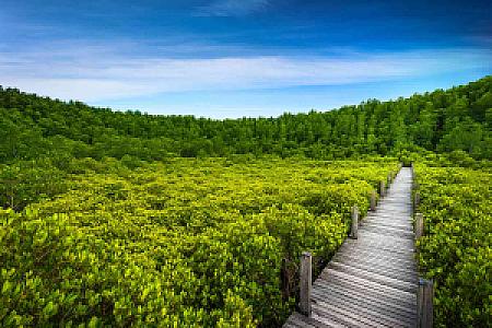 Rayong – Tayland fotoğrafı
