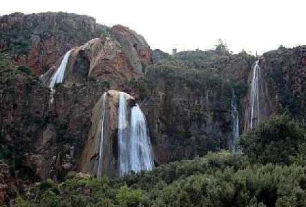 Saïda – Cezayir fotoğrafı