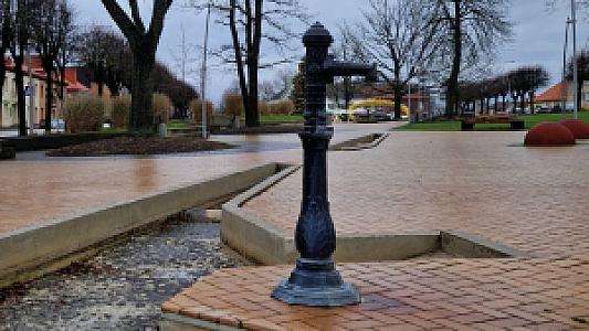 Šakiai – Litvanya fotoğrafı