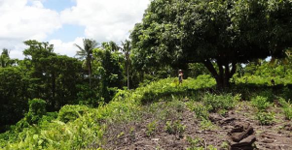 Satupa‘itea – Samoa fotoğrafı