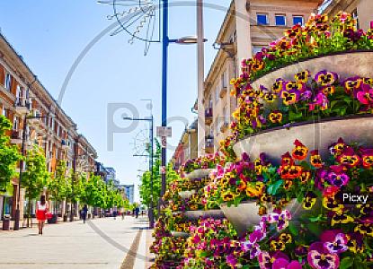 Šiauliai – Litvanya fotoğrafı