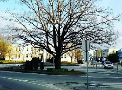 Šilalė – Litvanya fotoğrafı