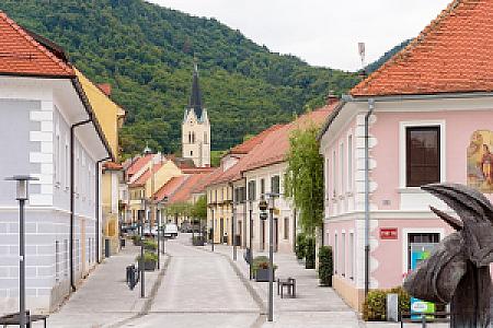 Slovenske Konjice – Slovenya fotoğrafı