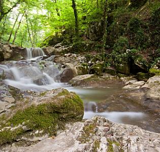 Šmarješke Toplice – Slovenya fotoğrafı