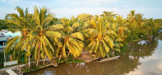 Sóc Trăng – Vietnam fotoğrafı