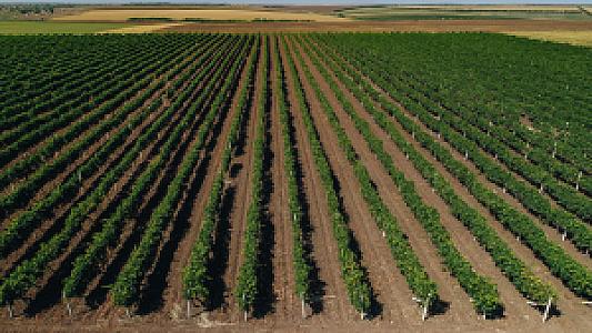 Ştefan Vodă – Moldova fotoğrafı