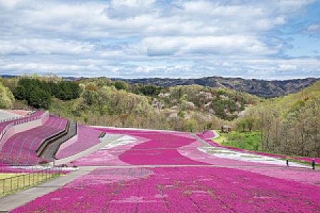 Tochigi – Japonya fotoğrafı