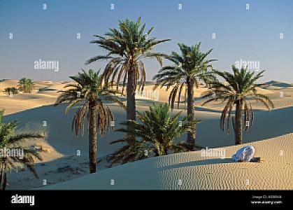 Touggourt – Cezayir fotoğrafı