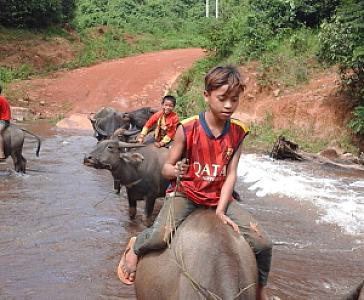 Xékong – Laos fotoğrafı