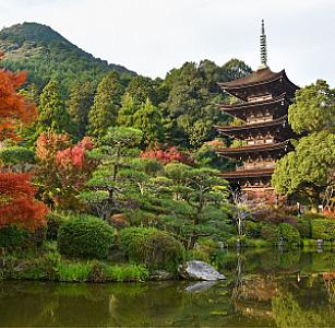 Yamaguchi – Japonya fotoğrafı