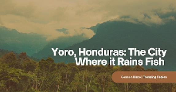 Yoro – Honduras fotoğrafı