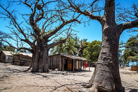Ziguinchor – Senegal fotoğrafı