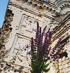 Dubăsari – Moldova fotoğrafı