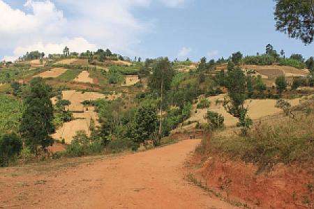 Makamba – Burundi fotoğrafı